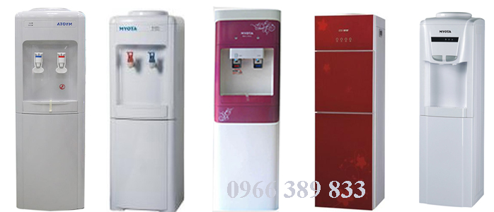 cây nước Myota cây nước Myota